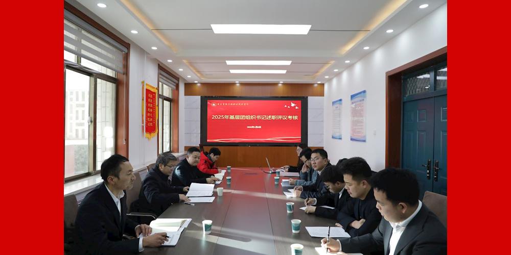 亮青春答卷 谱奋进新篇：学院召开2025年度基层团组织书记述职评议工作会议