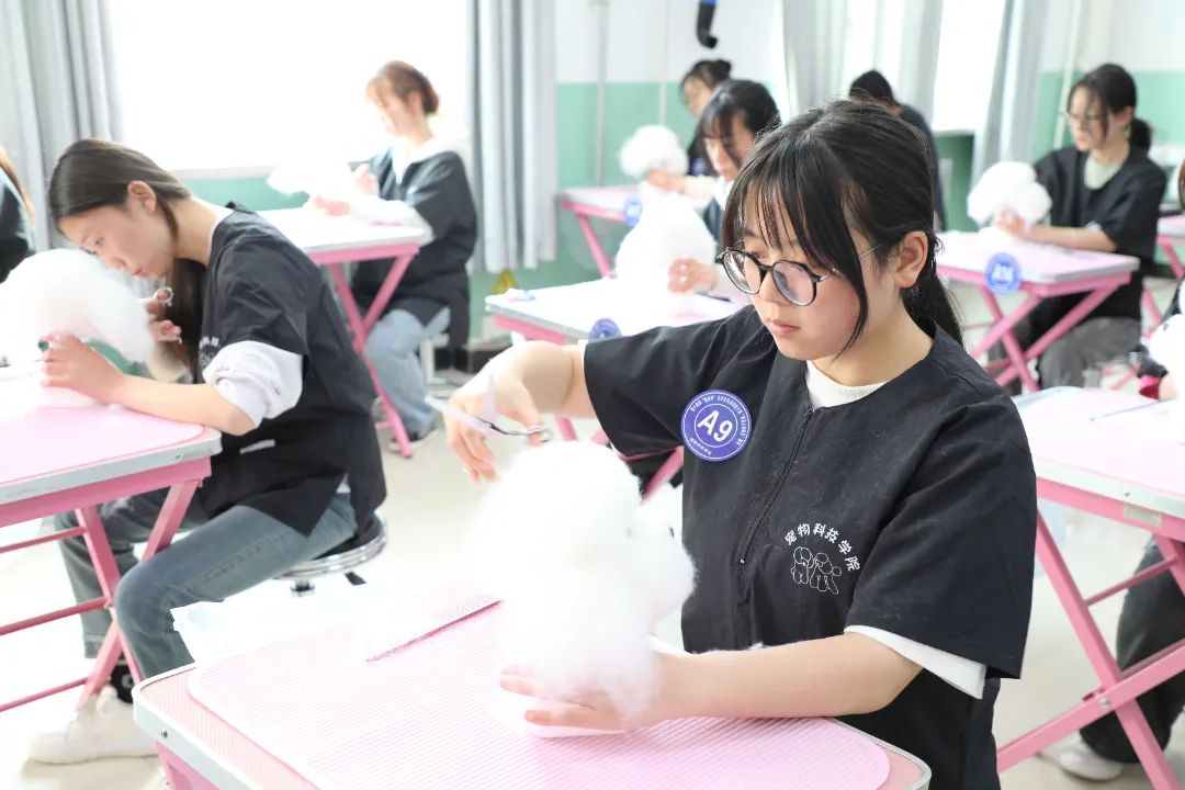 263abf5ad7dc4d2780d8cec8332f0068.Jpeg