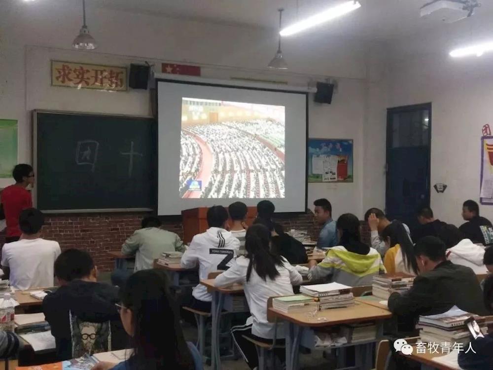 26da3dbddeaa4a53a5412e2da88c144e.jpg